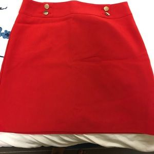 NWOT LOFT Size 10 Skirt